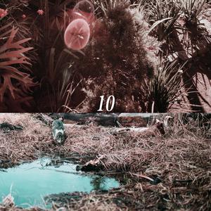 五十路六十路欧美v1deo
